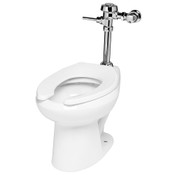 Toilets, Urinals, & Flushometers