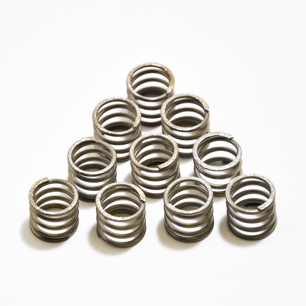 OUTLET SPRING 10 PK Acorn