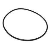 O-Ring, Cam Check, Second, 6 to 8 Inch, Series 2000, 3000, Ames