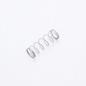 Valve Spring
