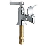 Drinking Fountain / Bubbler, 2-3/8" Lever Handle (369-Coldjkcp), Polished Chrome, .74 GPM (2.8 L/Mi