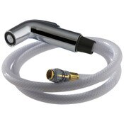 Side Spray & Hose Assembly Chrome