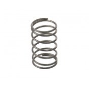 Spring - Check Valve Fisher