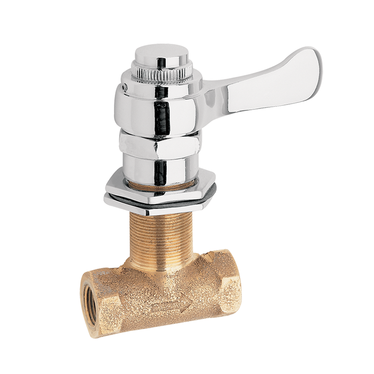 Faucet Valve, Model 5851Lf, Panel Mounted Valve, Self-Closin