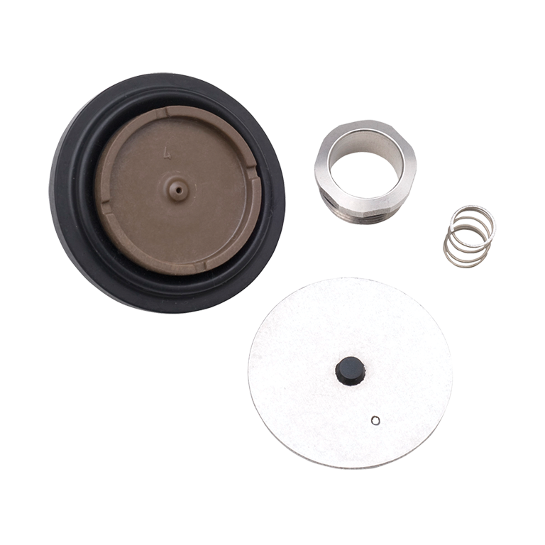 Valve Repair Kit for Model 5881, Includes Spring, Disc, Diaphragm, and Renew Seat