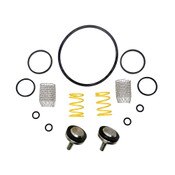 Packing And Gasket Kit For Thermostatic Mixing Valves, Leonard