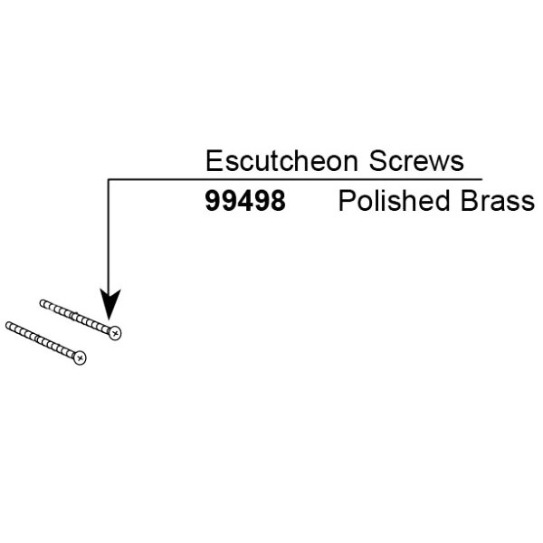 Escutcheon Screw Polished Brass (2)