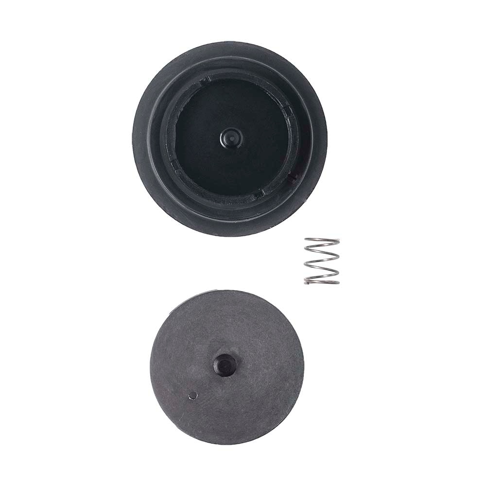 Diaphragm Kit PVK-2