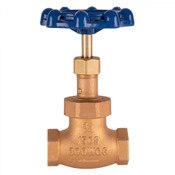 3/4" Globe Valve, Blue Handle