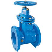 Gate Valve, 2 1/2 Inch, Resilient Wedge, Series 405, Watts