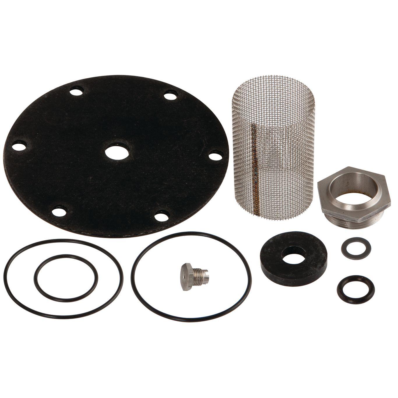 Valve Repair Kit for 1-1/4 Pressure Reducing Valve, Series 25, Watts