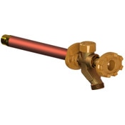 Wall Faucet Freezeless 8 Inch Anti-Siphon, Woodford