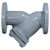 Wye Pattern Strainer, 10 Inch, Cast Iron, Tapped Retainer Cap, Series 758, Febco