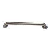 Grab Bar 12 Inch Stainless Steel Saniguard Concealed Flange