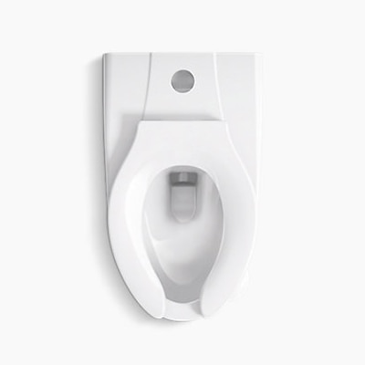 Wall Mounted Top Spud Elongated Toilet, 1.0-1.6 GPF, 4 Bolt, Water Sense