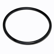 O-Ring, Cam, Second Check, 2 1/2 to 6 Inch, Series 2000, 3000, Ames