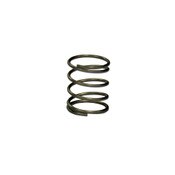 Orifice Plate Spring, 10 Pack