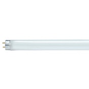 Fluorescent T8 Light Bulb, 4 Ft., 2950L, 32W, 4100K, Cool White, G13 Medium Bi Pin Base, Gloss White Finish