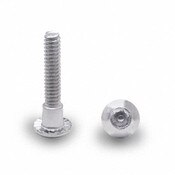 Torx Head Screw 15/16 Inch with Pin