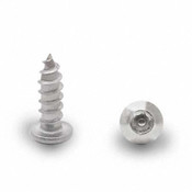 Stainless Steel Torx Screw #14 With Pin