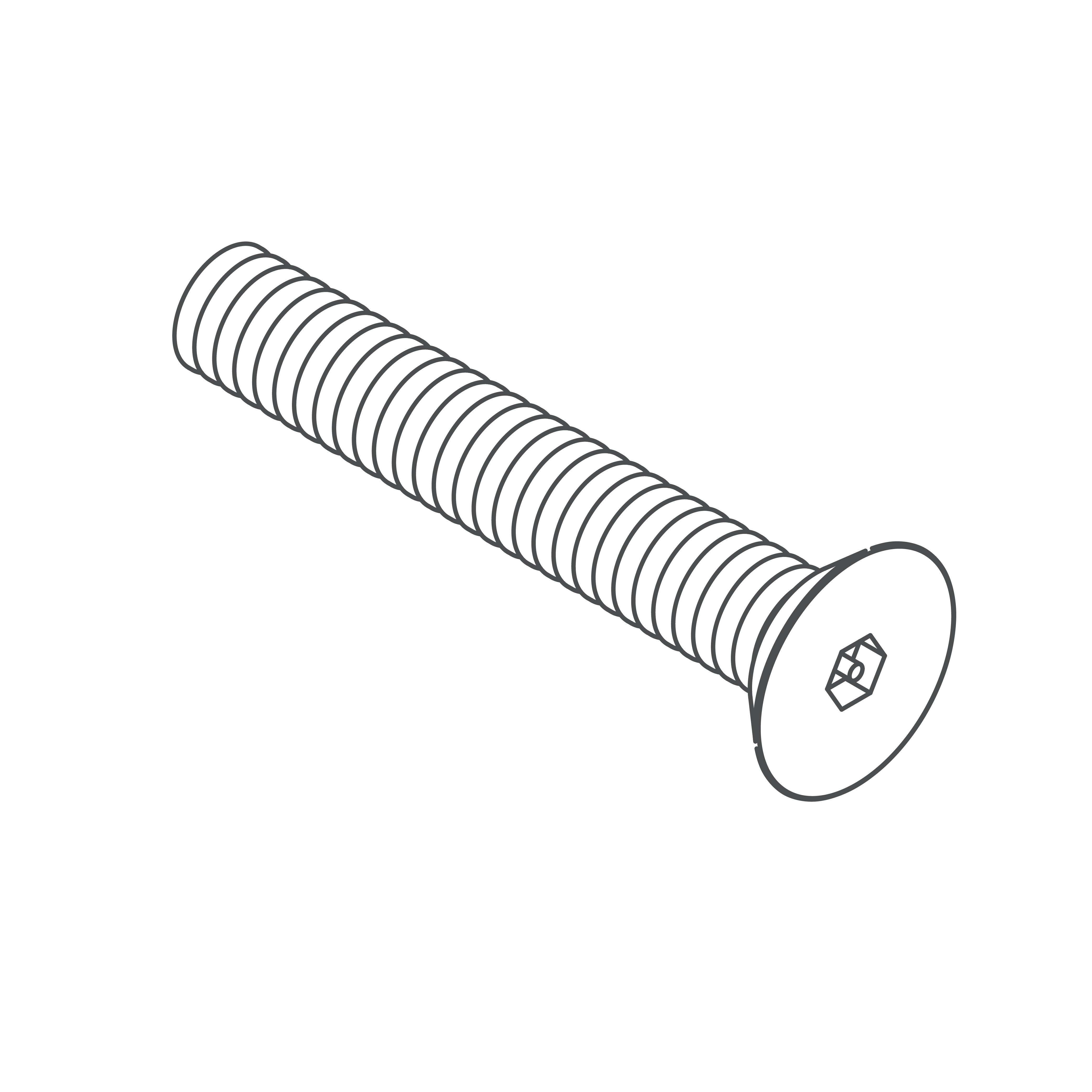 #1/4-20 x 2" S/S HEX FLATHEAD W/CTR REJECT SCREW 10 PK Acorn