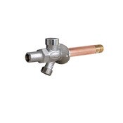 14 Inch with 1/2 Inch MIP/SWT Vandal Resistant Anti-Siphon Loose Key Full Turn Wall Hydrant